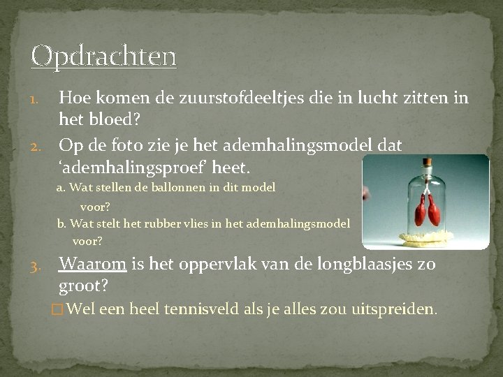 Opdrachten Hoe komen de zuurstofdeeltjes die in lucht zitten in het bloed? 2. Op