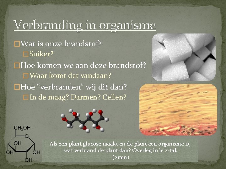 Verbranding in organisme �Wat is onze brandstof? � Suiker? �Hoe komen we aan deze