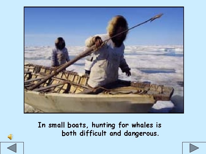 In small boats, hunting for whales is both difficult and dangerous. 