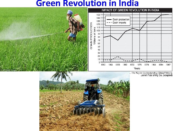 Green Revolution in India 