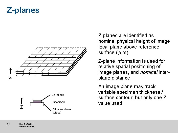 Z-planes are identified as nominal physical height of image focal plane above reference surface Z-planes are identified as nominal physical height of image focal plane above reference surface