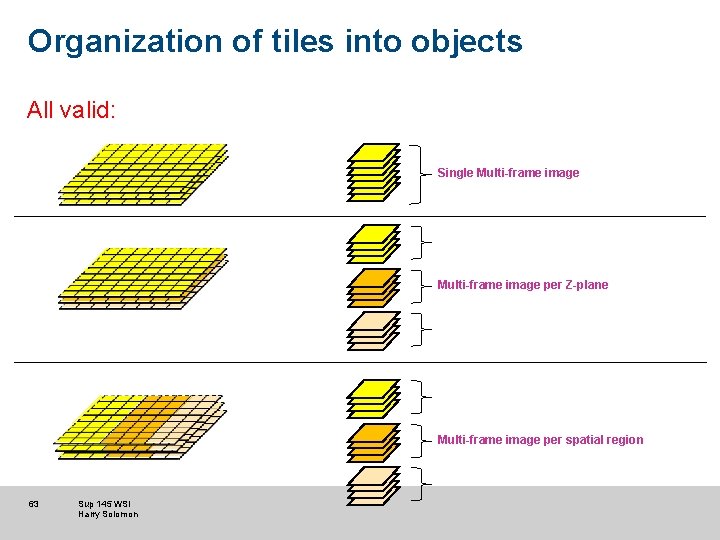 Organization of tiles into objects All valid: Single Multi-frame image per Z-plane Multi-frame image Organization of tiles into objects All valid: Single Multi-frame image per Z-plane Multi-frame image