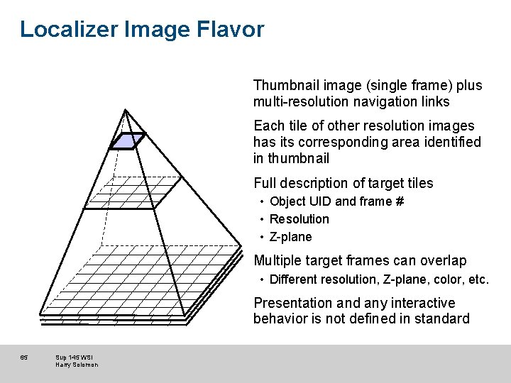 Localizer Image Flavor Thumbnail image (single frame) plus multi-resolution navigation links Each tile of