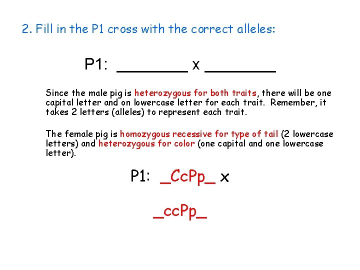 2. Fill in the P 1 cross with the correct alleles: P 1: ____