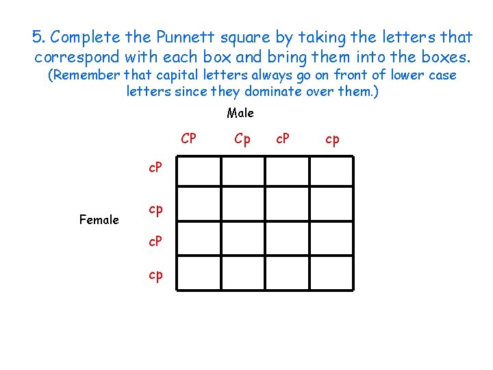 5. Complete the Punnett square by taking the letters that correspond with each box