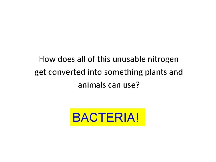 How does all of this unusable nitrogen get converted into something plants and animals