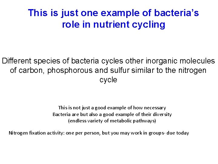 This is just one example of bacteria’s role in nutrient cycling Different species of