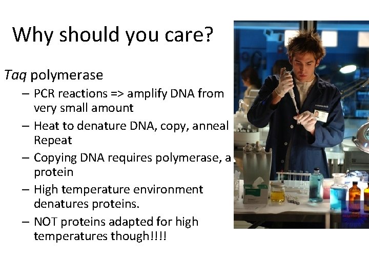 Why should you care? Taq polymerase – PCR reactions => amplify DNA from very