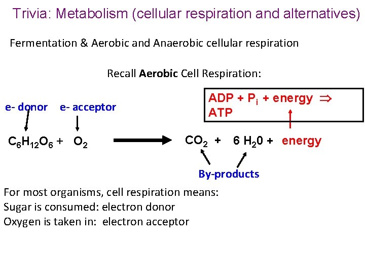 Trivia: Metabolism (cellular respiration and alternatives) Fermentation & Aerobic and Anaerobic cellular respiration Recall