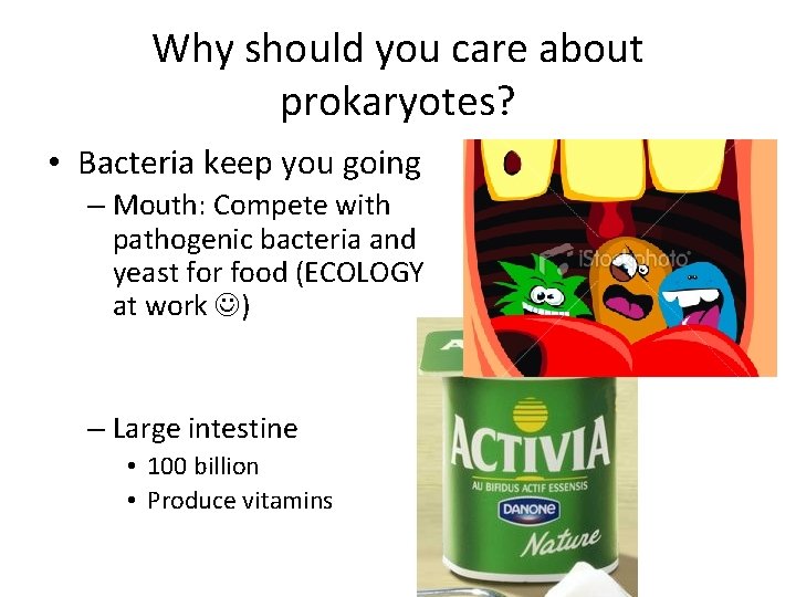 Why should you care about prokaryotes? • Bacteria keep you going – Mouth: Compete