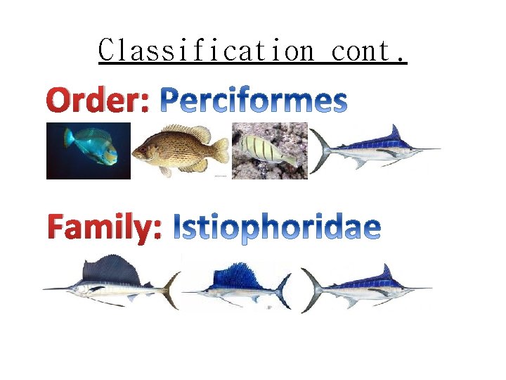 Classification cont. Order: Family: 