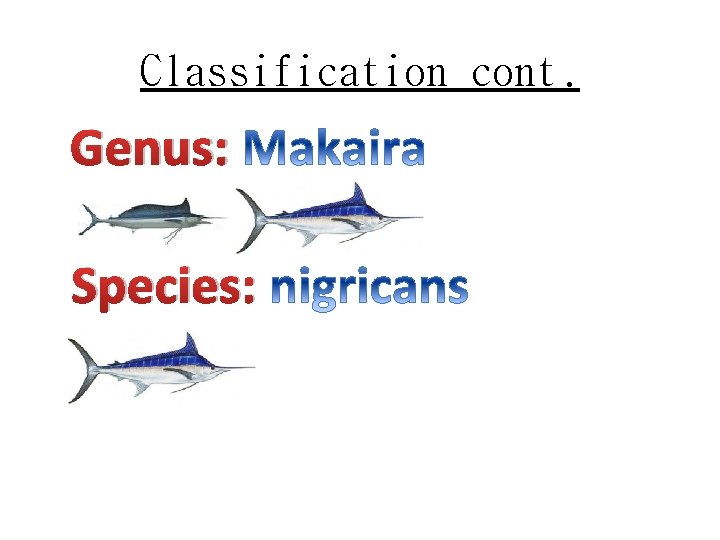 Classification cont. Genus: Species: 