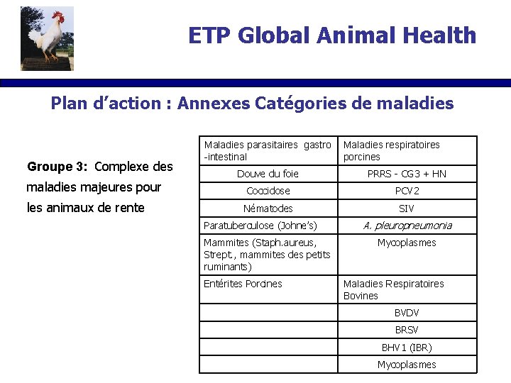 ETP Global Animal Health Plan d’action : Annexes Catégories de maladies Groupe 3: Complexe