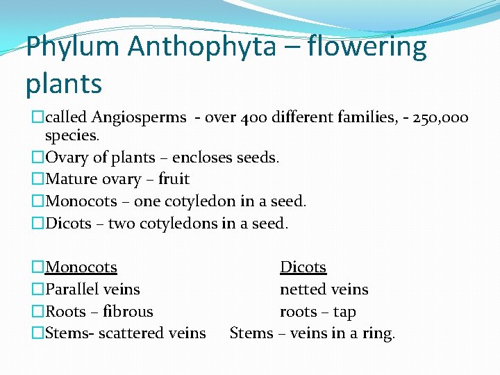 Phylum Anthophyta – flowering plants �called Angiosperms - over 400 different families, - 250,