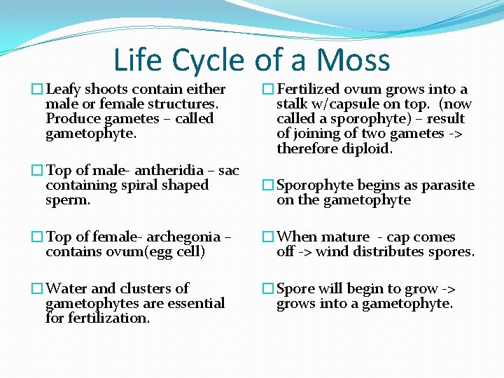 Life Cycle of a Moss �Leafy shoots contain either male or female structures. Produce