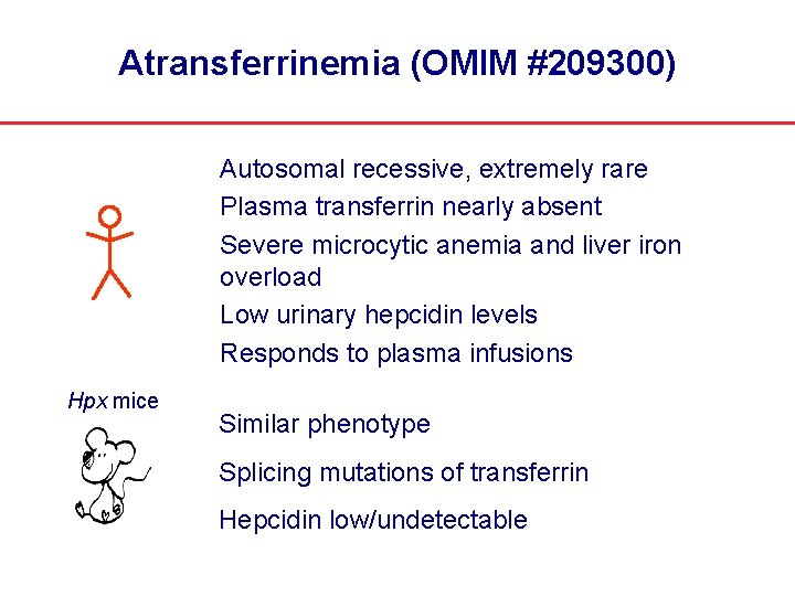 Atransferrinemia (OMIM #209300) Autosomal recessive, extremely rare Plasma transferrin nearly absent Severe microcytic anemia