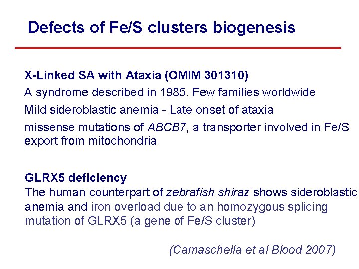 Defects of Fe/S clusters biogenesis X-Linked SA with Ataxia (OMIM 301310) A syndrome described