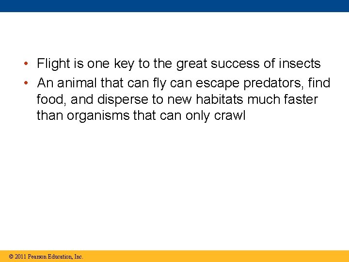  • Flight is one key to the great success of insects • An