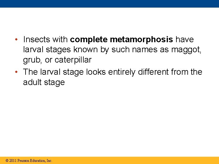  • Insects with complete metamorphosis have larval stages known by such names as