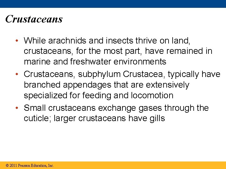 Crustaceans • While arachnids and insects thrive on land, crustaceans, for the most part,