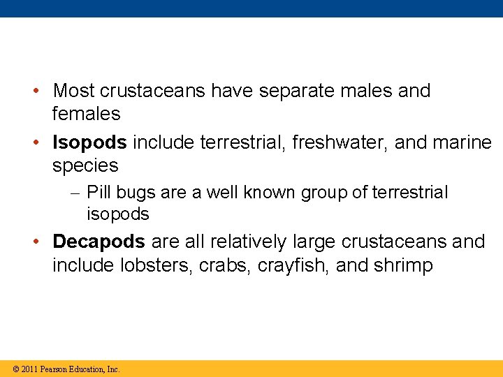  • Most crustaceans have separate males and females • Isopods include terrestrial, freshwater,