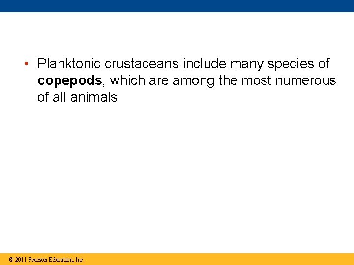  • Planktonic crustaceans include many species of copepods, which are among the most