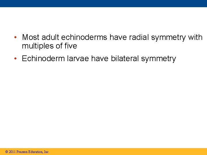  • Most adult echinoderms have radial symmetry with multiples of five • Echinoderm