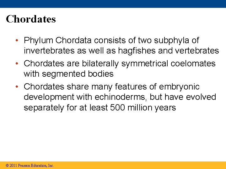 Chordates • Phylum Chordata consists of two subphyla of invertebrates as well as hagfishes