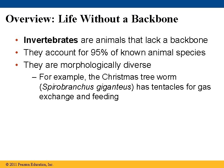 Overview: Life Without a Backbone • Invertebrates are animals that lack a backbone •