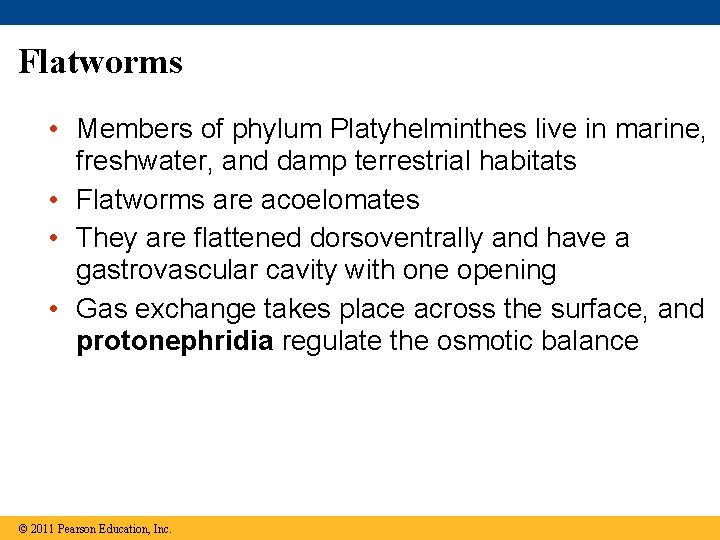 Flatworms • Members of phylum Platyhelminthes live in marine, freshwater, and damp terrestrial habitats