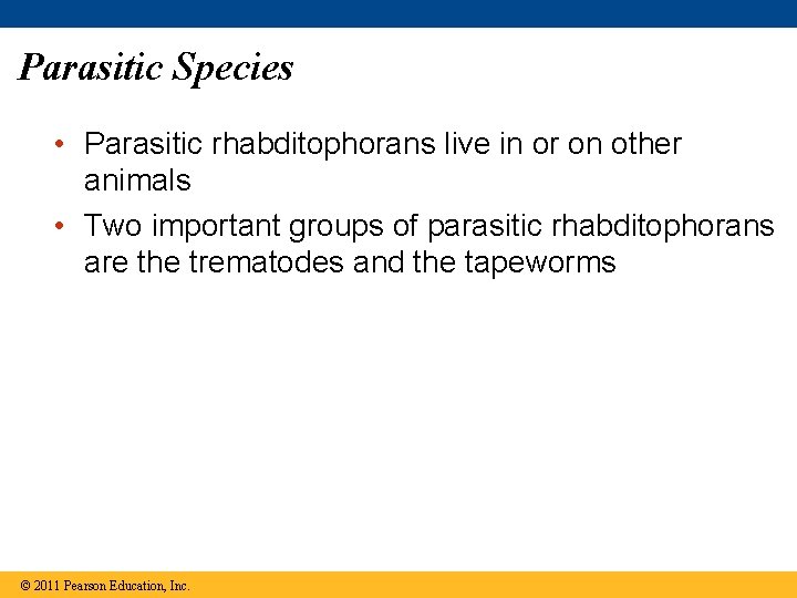 Parasitic Species • Parasitic rhabditophorans live in or on other animals • Two important