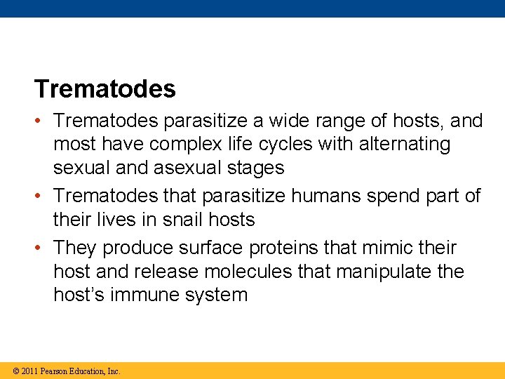 Trematodes • Trematodes parasitize a wide range of hosts, and most have complex life