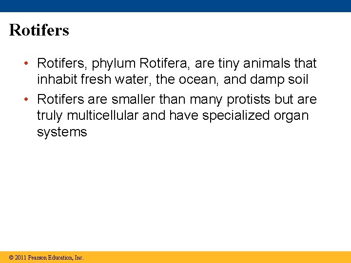 Rotifers • Rotifers, phylum Rotifera, are tiny animals that inhabit fresh water, the ocean,