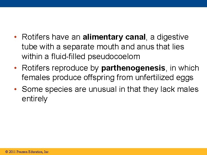  • Rotifers have an alimentary canal, a digestive tube with a separate mouth