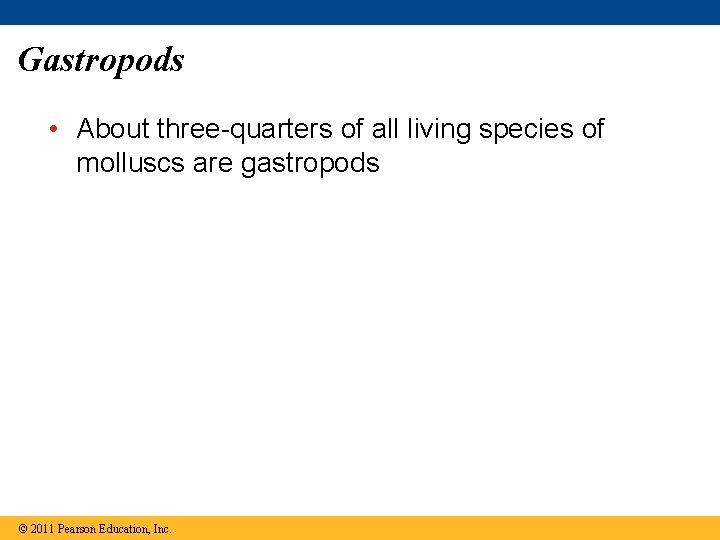 Gastropods • About three-quarters of all living species of molluscs are gastropods © 2011