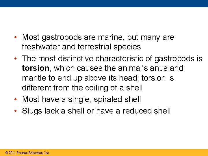  • Most gastropods are marine, but many are freshwater and terrestrial species •