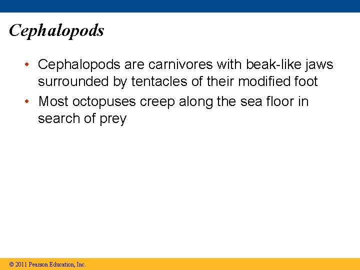 Cephalopods • Cephalopods are carnivores with beak-like jaws surrounded by tentacles of their modified