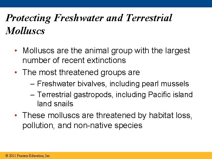 Protecting Freshwater and Terrestrial Molluscs • Molluscs are the animal group with the largest