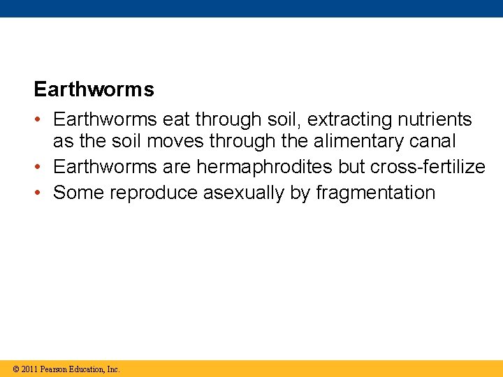 Earthworms • Earthworms eat through soil, extracting nutrients as the soil moves through the