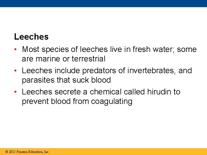 Leeches • Most species of leeches live in fresh water; some are marine or