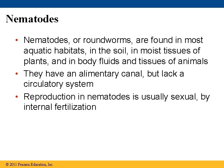 Nematodes • Nematodes, or roundworms, are found in most aquatic habitats, in the soil,