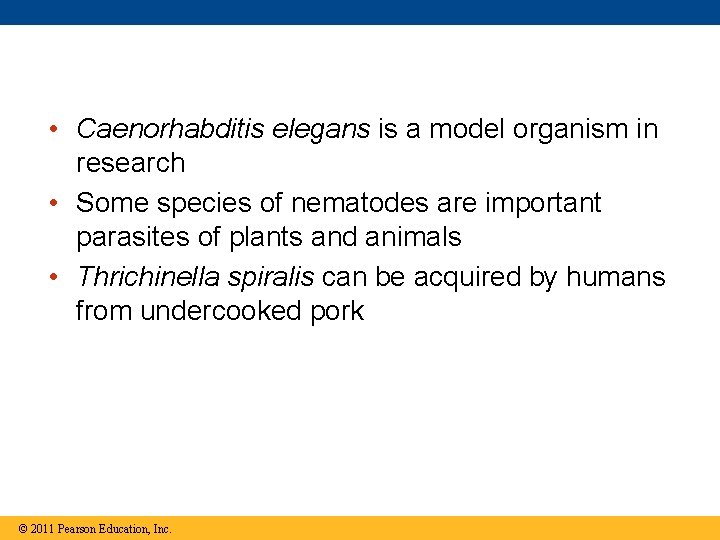  • Caenorhabditis elegans is a model organism in research • Some species of