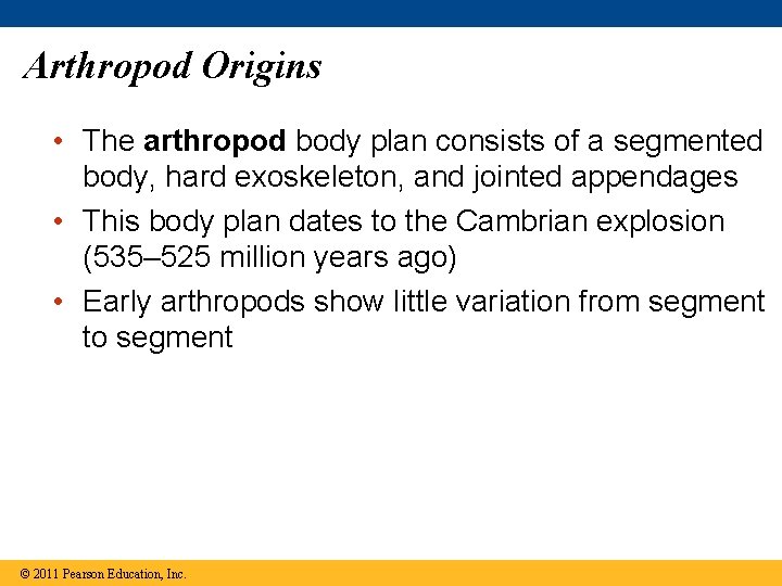 Arthropod Origins • The arthropod body plan consists of a segmented body, hard exoskeleton,