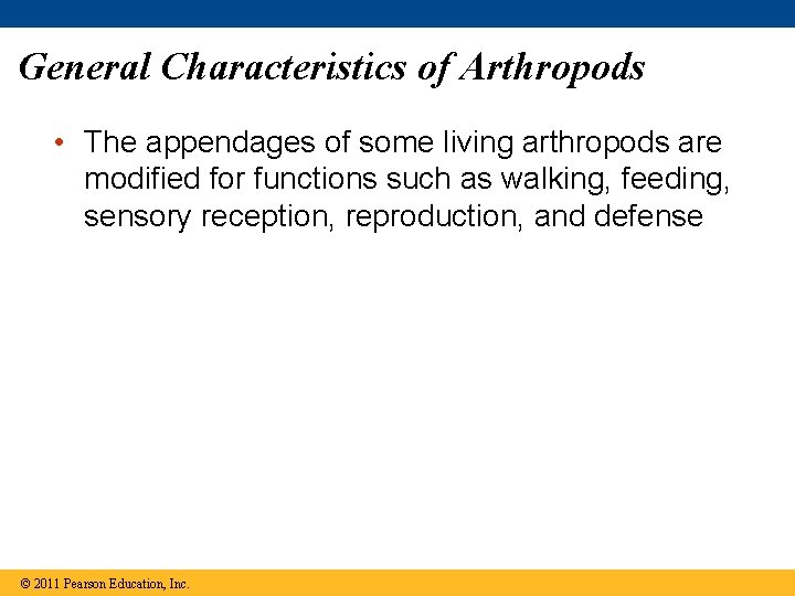 General Characteristics of Arthropods • The appendages of some living arthropods are modified for