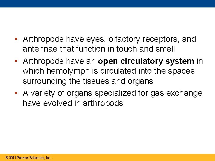  • Arthropods have eyes, olfactory receptors, and antennae that function in touch and