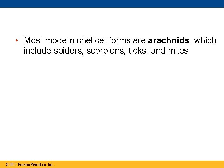  • Most modern cheliceriforms are arachnids, which include spiders, scorpions, ticks, and mites