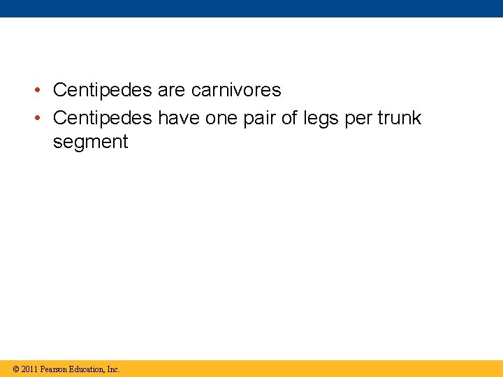  • Centipedes are carnivores • Centipedes have one pair of legs per trunk