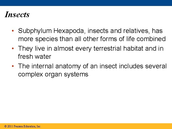 Insects • Subphylum Hexapoda, insects and relatives, has more species than all other forms