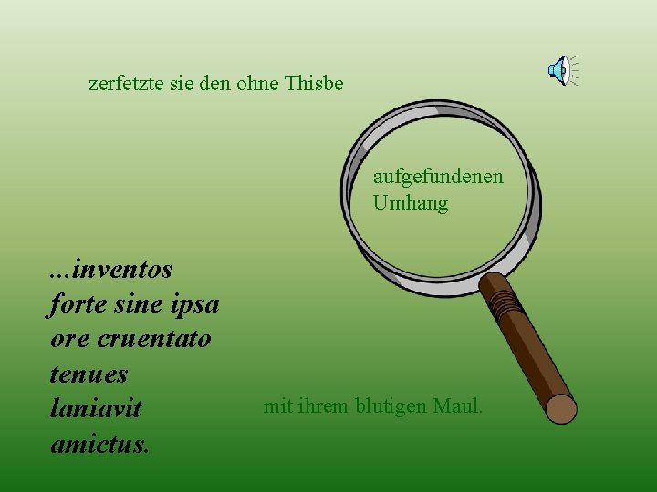 zerfetzte sie den ohne Thisbe aufgefundenen Umhang . . . inventos forte sine ipsa