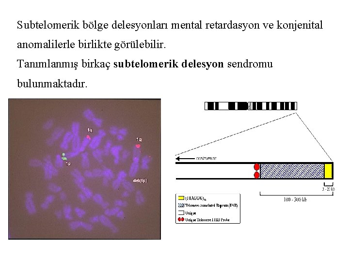 Subtelomerik bölge delesyonları mental retardasyon ve konjenital anomalilerle birlikte görülebilir. Tanımlanmış birkaç subtelomerik delesyon